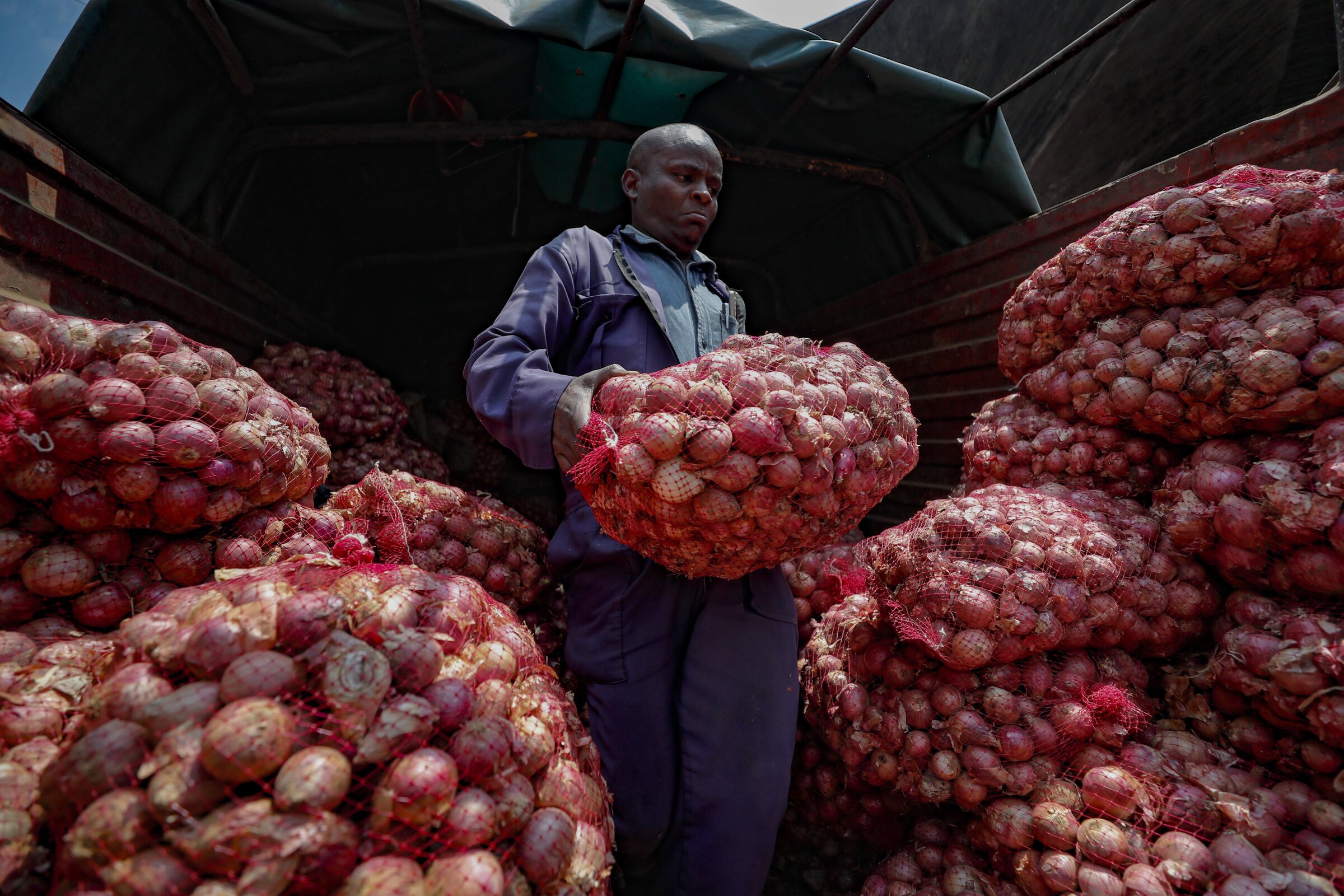 Countries limit food exports as supplies dwindle - Vimarsana News