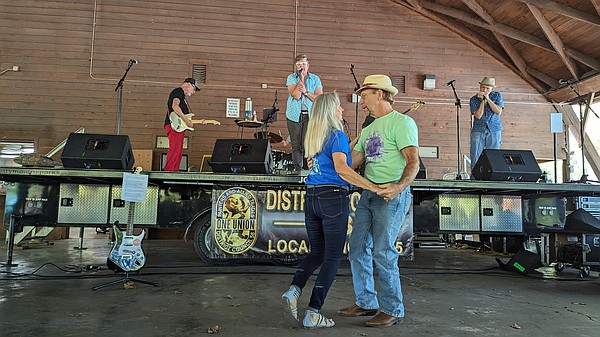 Blues in the Park brings fans to their feet - Vimarsana News