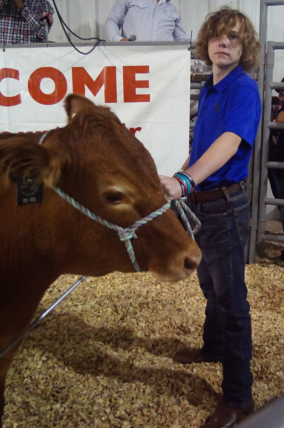 Cattle Westside Eagle Observer