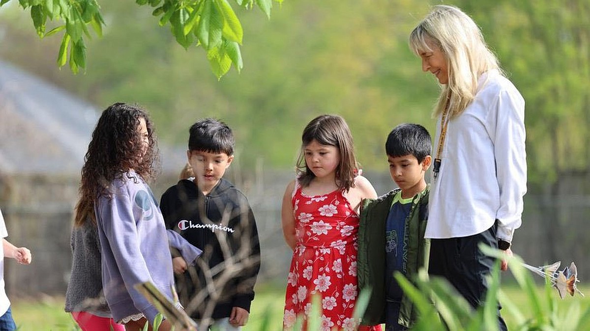 Springdale students aid monarch butterflies | Northwest Arkansas ...