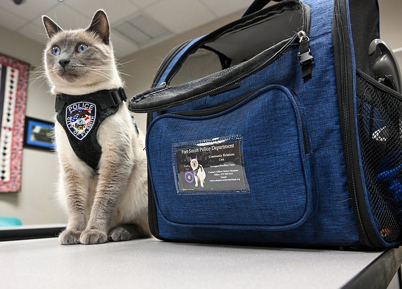 Pawfficer Fuzz sits next to his carrier on Wednesday, Oct.11, 2023, at the Fort Smith Police Department. Pawfficer Fuzz is an official ambassador for the City of Fort Smith. Officer Robyn Shoptaw, Fuzzs handler brings Fuzz to different events around the city to further strengthen bonds between the community and the Police Department. Visit nwaonline.com/photo for today's photo gallery. (River Valley Democrat-Gazette/Caleb Grieger)