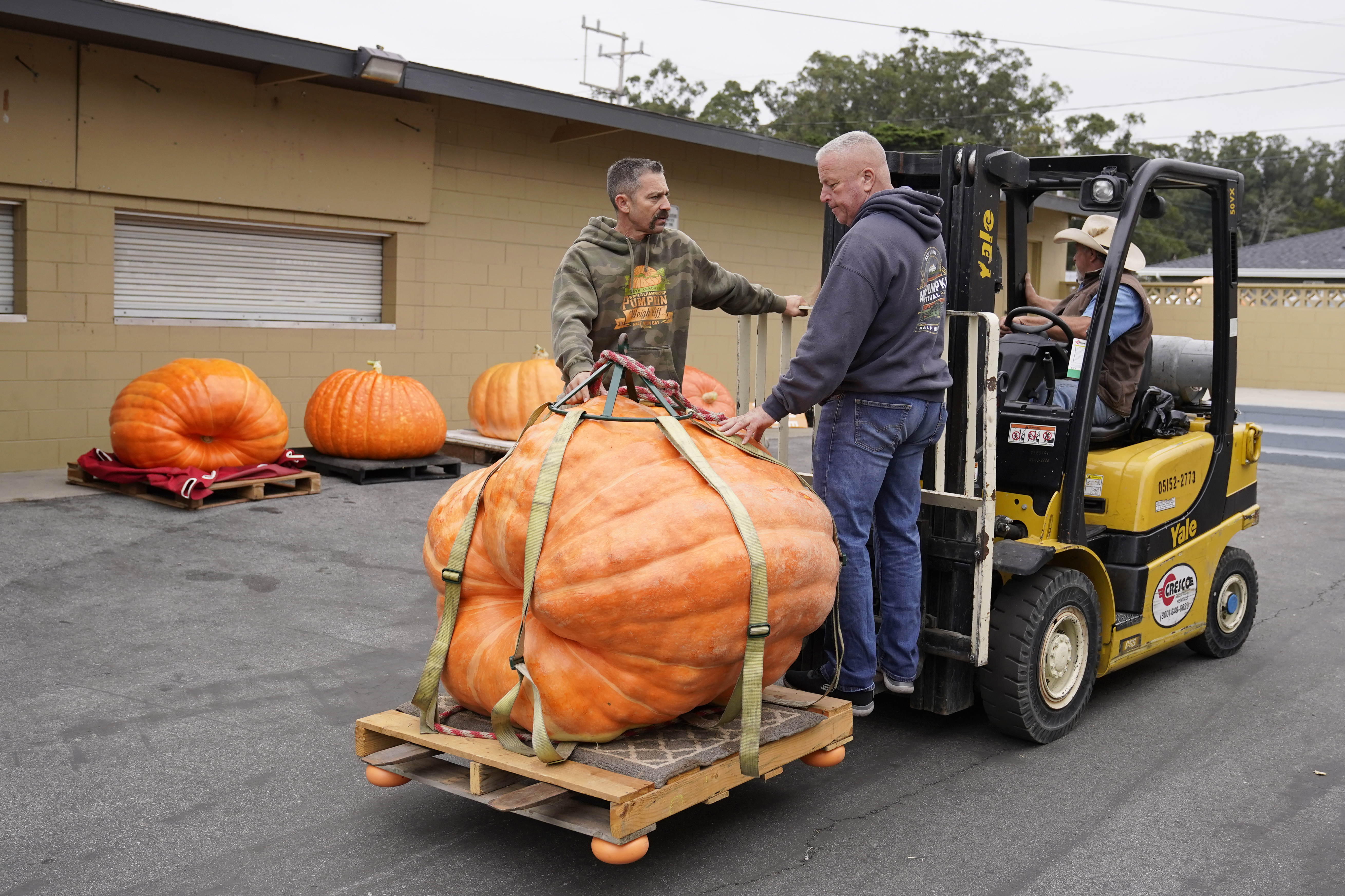 VIDEO: Pumpkin growing champion wins B.C. Giant Pumpkin weigh-off