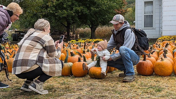 Hartsburg swells with annual Pumpkin Festival - Vimarsana News
