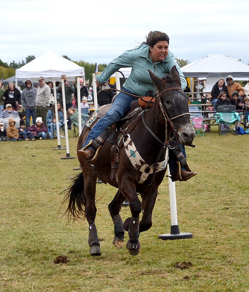 Annette Beard/Pea Ridge TIMES
Magic Man and Becki Sams had the best time in the senior division of pole bending Saturday, Oct. 14, at the 34th annual Pea Ridge Mule Jump, winning first place and ultimately, the high point award for seniors. For more photographs, go to the PRT gallery at https://tnebc.nwaonline.com/photos/.