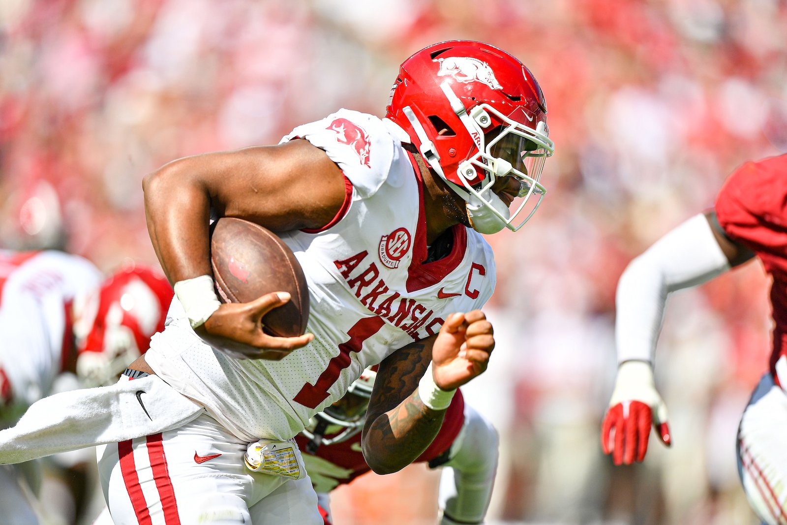 Hogs enter must-win game against Mississippi State - Vimarsana News