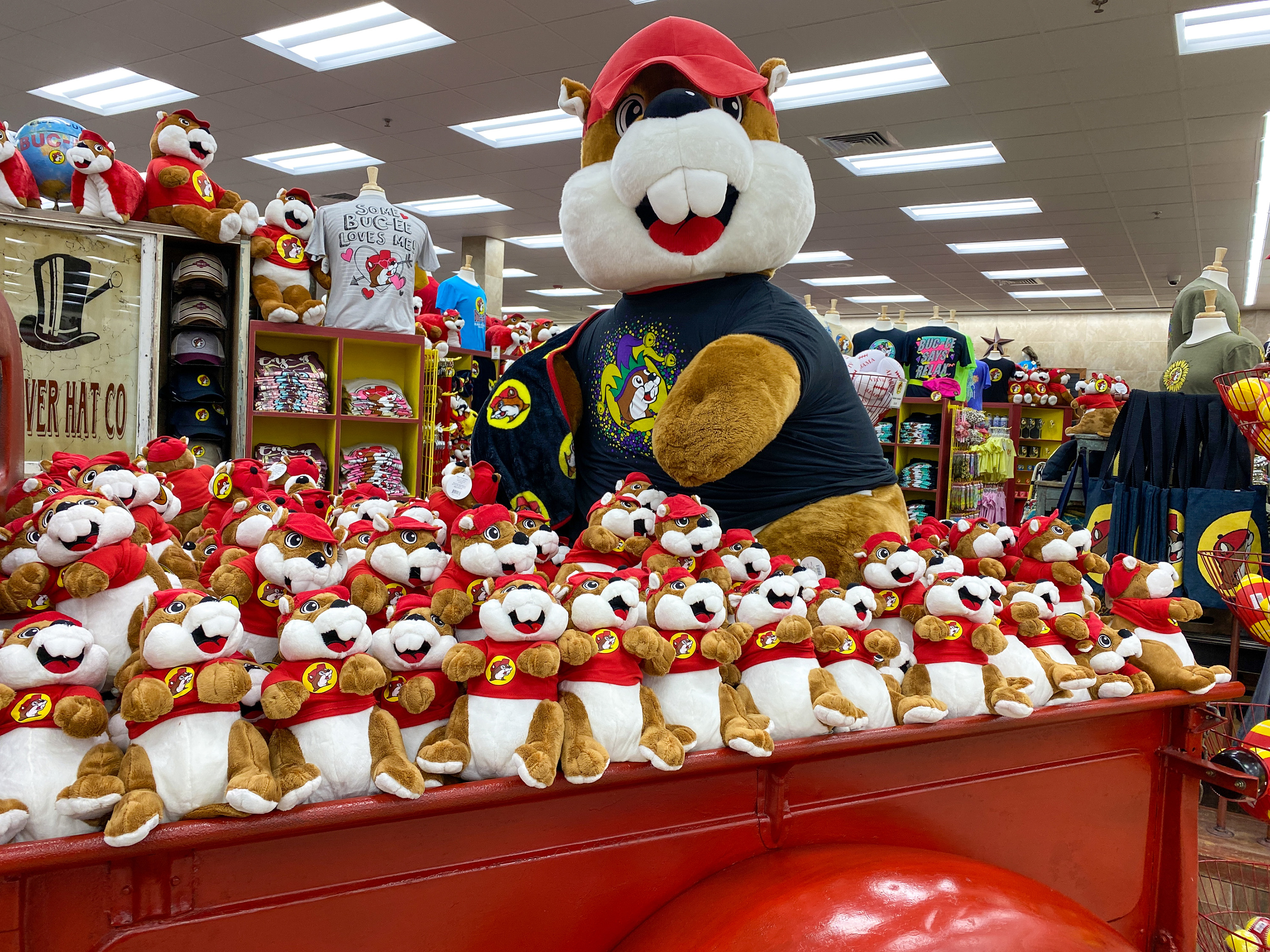 Headed west? Buc-ee's plans first Texas travel center in the Panhandle - Vimarsana News