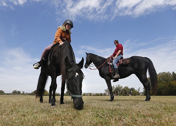 Horsing around - Vimarsana News