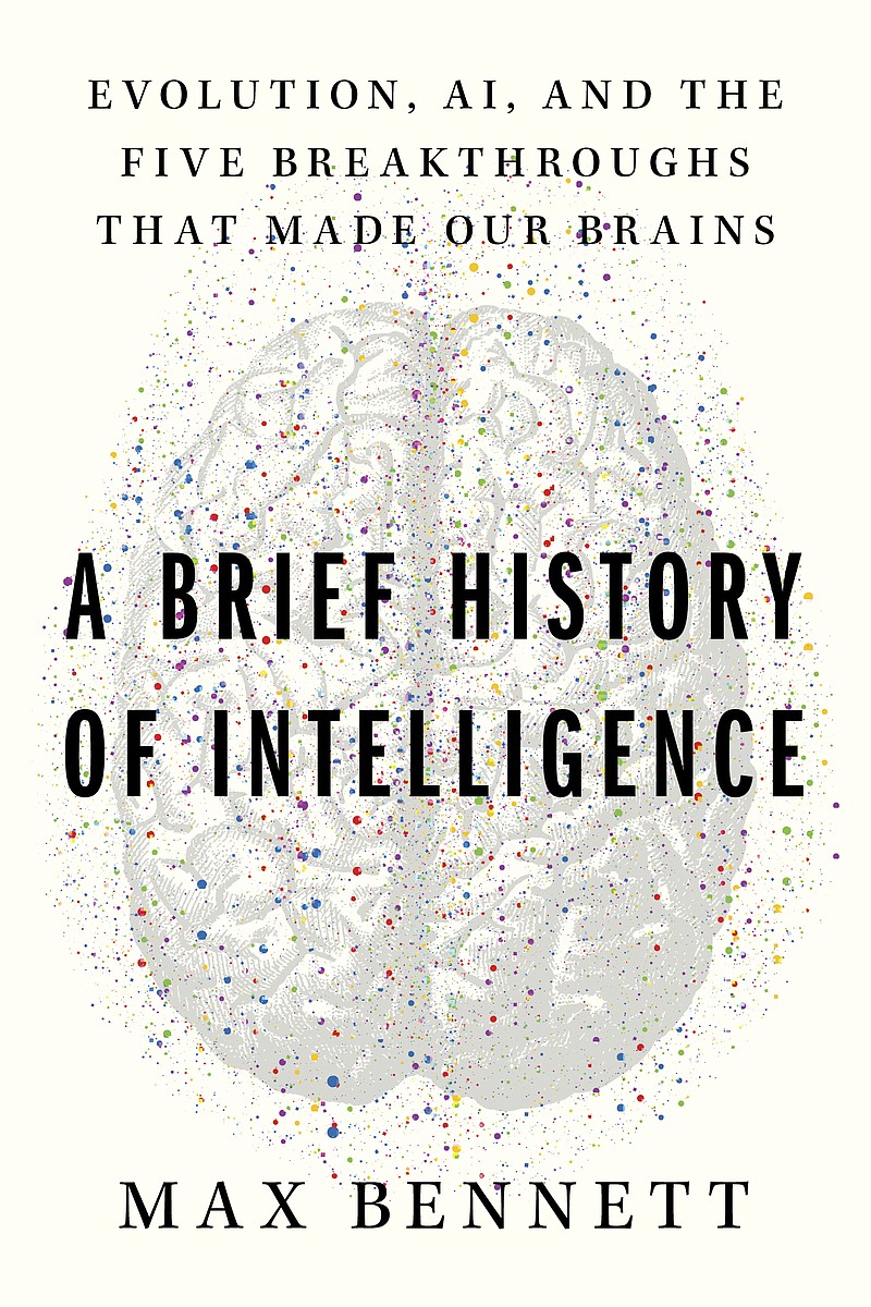 Book Review: ‘A Brief History of Intelligence’ may help humans shape ...