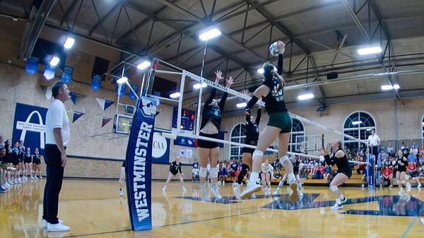 Red-hot Owls offense sweeps past UHSP 3-0 - Vimarsana News