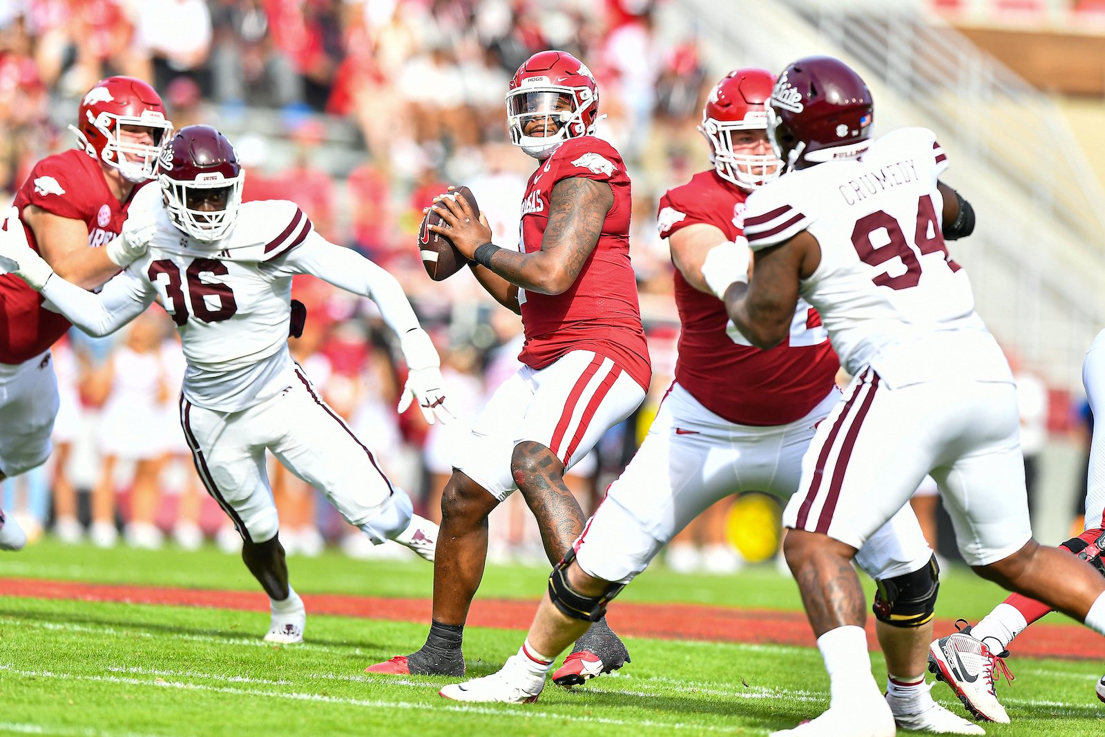How low can Hogs go: 12th in SEC poll - Vimarsana News