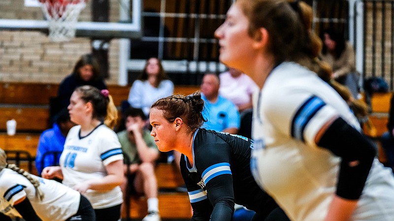 Blue Jays swept by 10th-ranked Bears | Fulton Sun