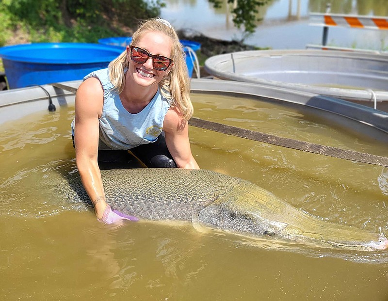 Chelsea Gilliland, Game and Fish fisheries biologist, with a 187-pound alligator gar taken from the Red River before it was released back into the river.
(Courtesy photo/Arkansas Game and Fish)