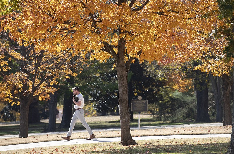 A pedestrian passes a tree exhibiting its fall colors Monday Nov. 6, 2023 on the Old Main lawn at the University of Arkansas in Fayetteville. (NWA Democrat-Gazette/J.T. Wampler)