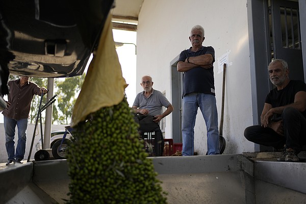 Olive oil prices bringing rise in crop theft | The Arkansas Democrat-Gazette - Vimarsana News