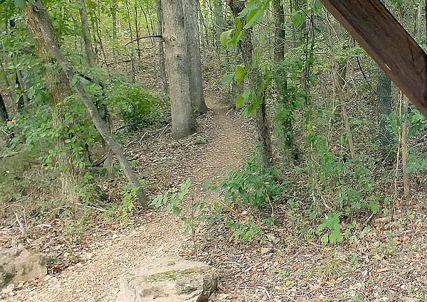 Bentonville Dirt Circus organizers expect top trail runners this weekend | Northwest Arkansas Democrat-Gazette - Vimarsana News