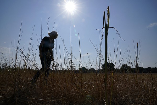 Worsening warming is hurting people in all U.S. regions - Vimarsana News