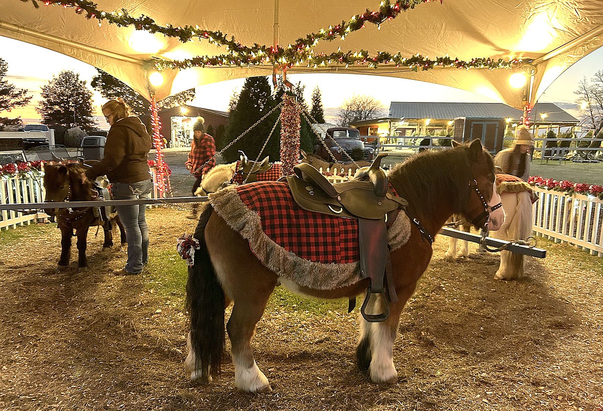 In the Christmas wonderland, trees are abundant | The McDonald County Press