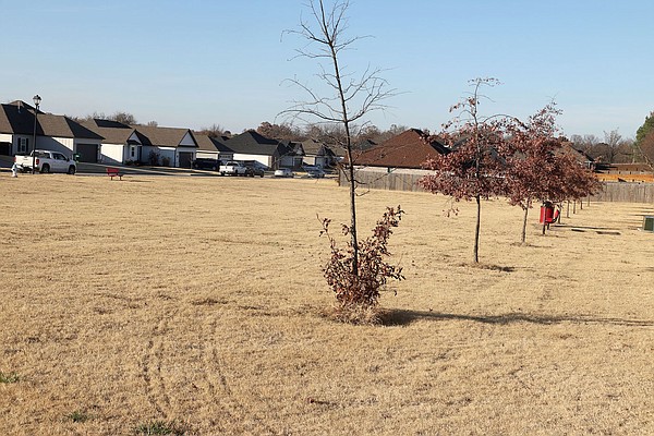 Farmington council OKs spending nearly $201,000 for park equipment on donated land | The Arkansas Democrat-Gazette - Vimarsana News
