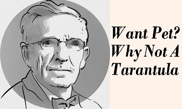 OLD NEWS: In 1923, UA's Professor Baerg made a black widow spider bite his hand, for science | The Arkansas Democrat-Gazette - Vimarsana News