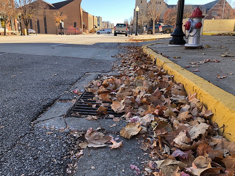 Joe Gamm/News Tribune photo: 
Jefferson City's Environmental Quality Commission is telling residents that excessive buildup of leaves in the road can block stormwater drains and cause cyclists to fall.