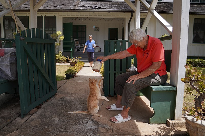Barbara Jean Wajda of the Sisters of St. Francis of the Neumann Communities holds a jar of treats for a cat on the peninsula of Kalaupapa, Hawaii, on Tuesday, July 18, 2023. There have been decades of sisters who lived and served in the settlement since the late 1800s caring for leprosy patients. (AP Photo/Jessie Wardarski)