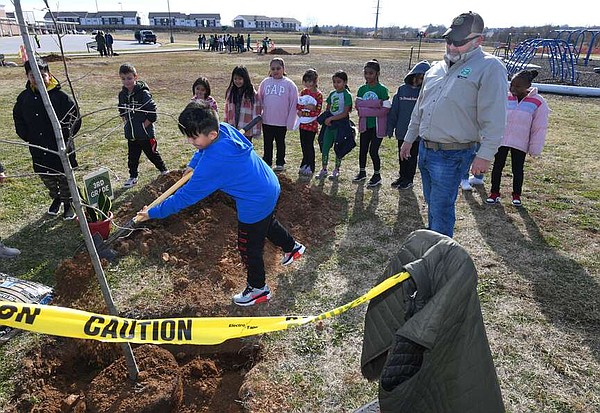 Branching out: Knapp Elementary School students help plant trees to provide playground shade in Springdale | The Arkansas Democrat-Gazette - Vimarsana News