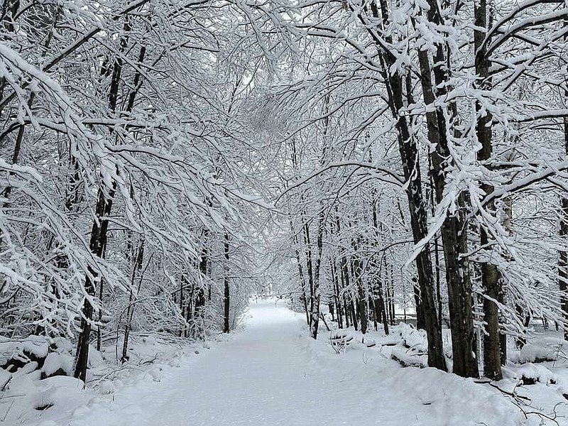 Snow falls on a back road in Marshfield, Vt.,  Monday, Dec. 11, 2023. (AP Photo/Lisa Rathke)