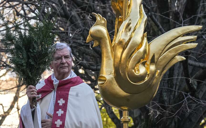 Notre Dame gets new golden rooster in pivotal moment – DW – 12/17/2023