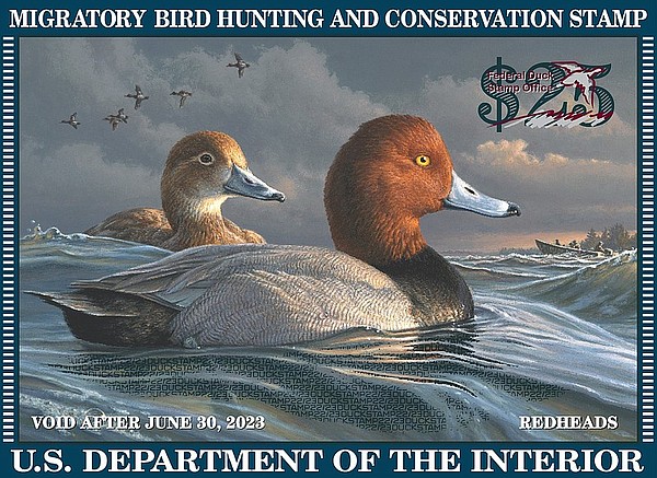 Boozman's duck stamp bill heads to White House - Vimarsana News