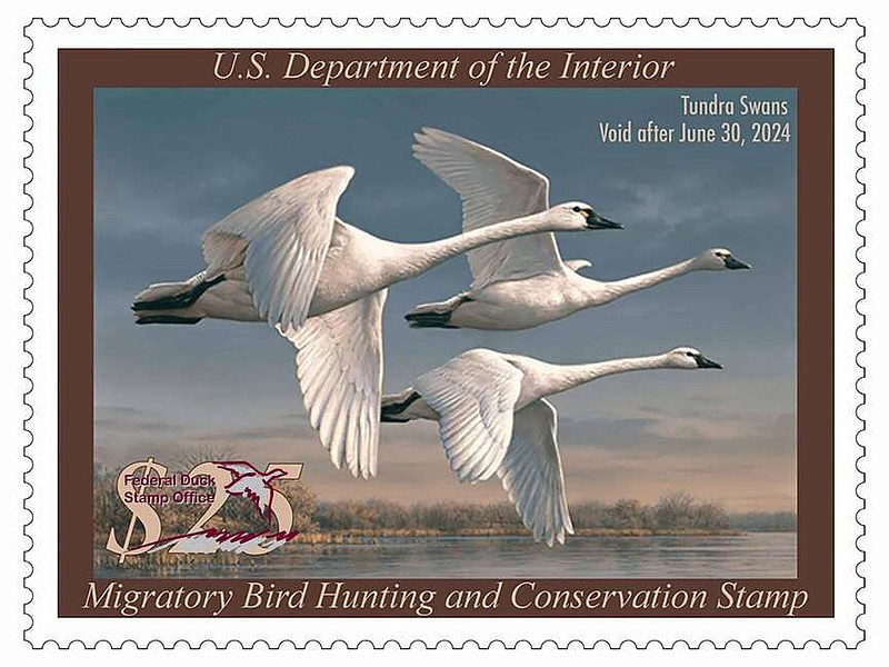 Duck stamp going digital The Arkansas Democrat Gazette