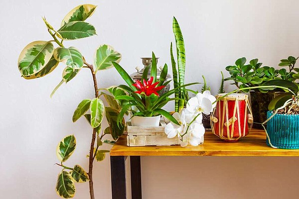 Battle Seasonal Affective Disorder with cheerful home design | Jefferson City News Tribune - Vimarsana News