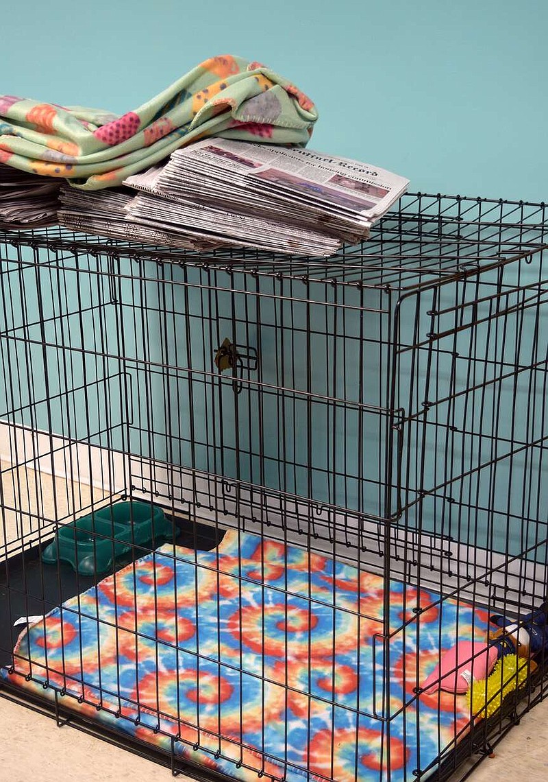 A kennel sits in an office at Hot Springs Animal Services. The agency's coordinator, Faith Wexler, said pets need to have a place to get in from the elements, and outdoor pets should have a space with at least three walls and a roof. (The Sentinel-Record/Donald Cross)