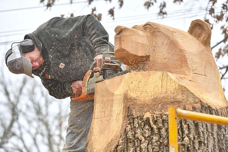 Scott Winford of Greenwood uses a chainsaw to carve a bear head out of a tree stump, Thursday, Dec. 29, 2023, outside a residence along North Waldron Road in Fort Smith. Winford said he has been creating wood sculptures of bears, birds, other animals and human faces and hands since 1987. As a former salesman of chainsaws, he used to hire professional carvers to demonstrate the abilities of the tools. When one of them failed to show up to an event, Winford tried his hand at the craft. Starting with an eagle head — “I took it home and my wife said, ‘You made a chicken!'” — and then a mushroom — “I'll never forget, a little kid looked at it and said, ‘A mushroom? You messed up!'” — Winford got better with practice, to the point he now has a side business called Arkansas Chainsaw Sculptures with a list of projects on his to-do list. He said it only takes a day to complete most works, adding that there are lots of carvers out there but he is one of few who use tree stumps because of the pressure of not being able to scrap it if he needs to restart. “You can't mess up,” Winford said. “You've got to make it work.” Anyone interested in hiring Winford can reach him at (479) 414-8175. Visit rivervalleydemocratgazette.com/photo for today's photo gallery.
(River Valley Democrat-Gazette/Hank Layton)