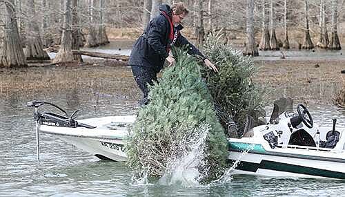 Arkansas Game and Fish Commission offers drop off sites for Christmas trees - Vimarsana News