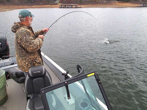 Fishing for stripers with fly rod challenges anglers  The Arkansas  Democrat-Gazette - Arkansas' Best News Source