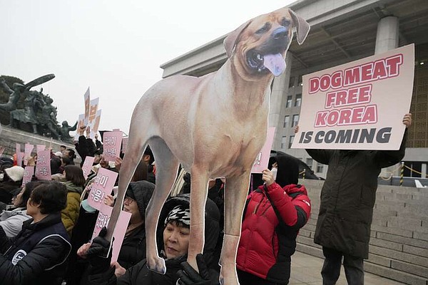 South Korea's parliament bans production, sale of dog meat | Jefferson City News Tribune - Vimarsana News