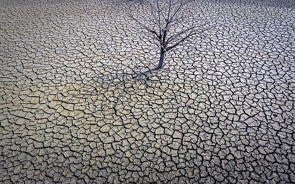 Earth shattered global heat record in 2023, is flirting with warming limit - Vimarsana News