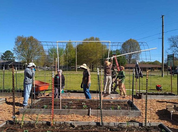 Grow Your Own Groceries Series Continues In 2024 Hot Springs Sentinel