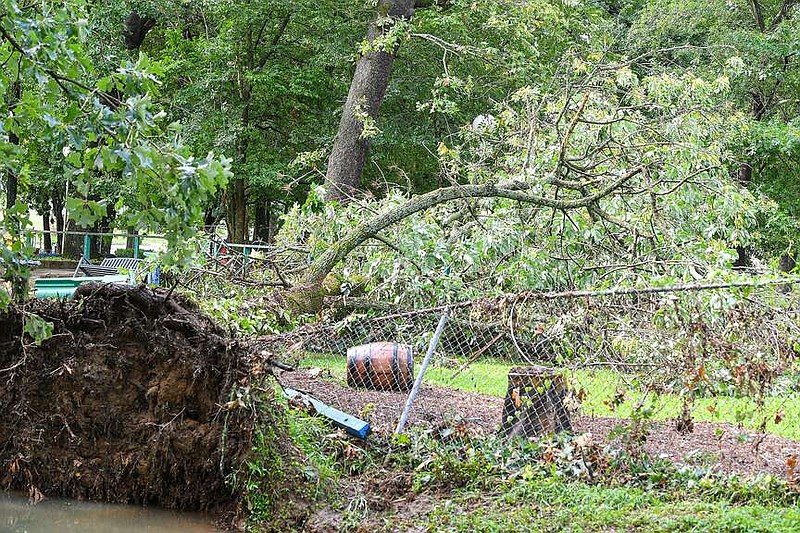 A fallen tree is seen, Friday, July 14, 2023, at Creekmore Park in Fort Smith. (River Valley Democrat-Gazette/Hank Layton)