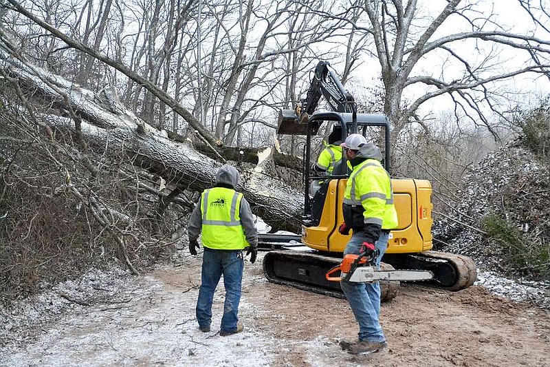 Annette Beard/Pea Ridge TIMES
Sugar Creek Road was blocked by a large tree east of the Big Sugar Golf Course club house Friday morning. City Street Department crews worked for several hours in extremely cold temperatures to remove the tree and another one further east of that one.