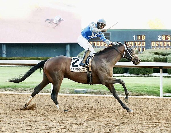 Fair Grounds gets jump on Derby preps | Hot Springs Sentinel Record - Vimarsana News