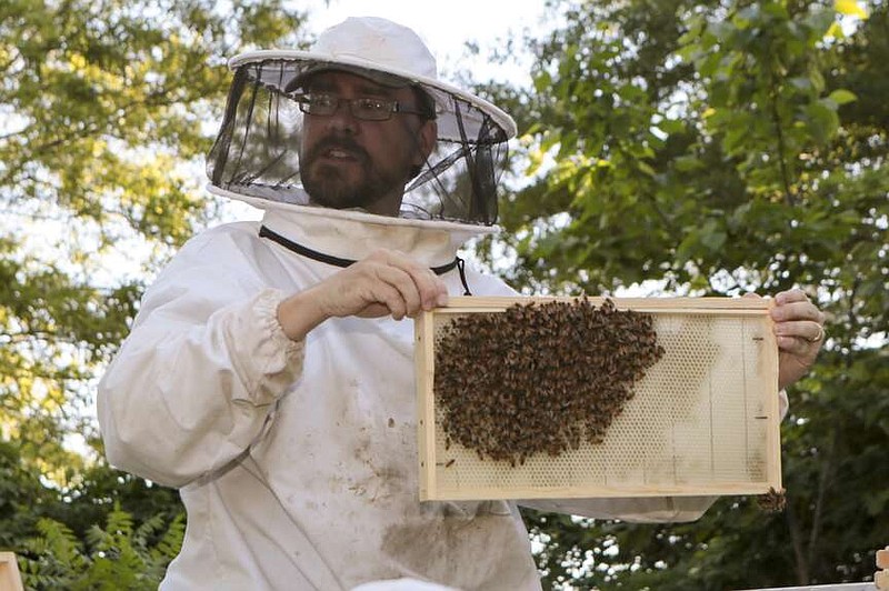 Beekeeping course being offered | Pine Bluff Commercial News