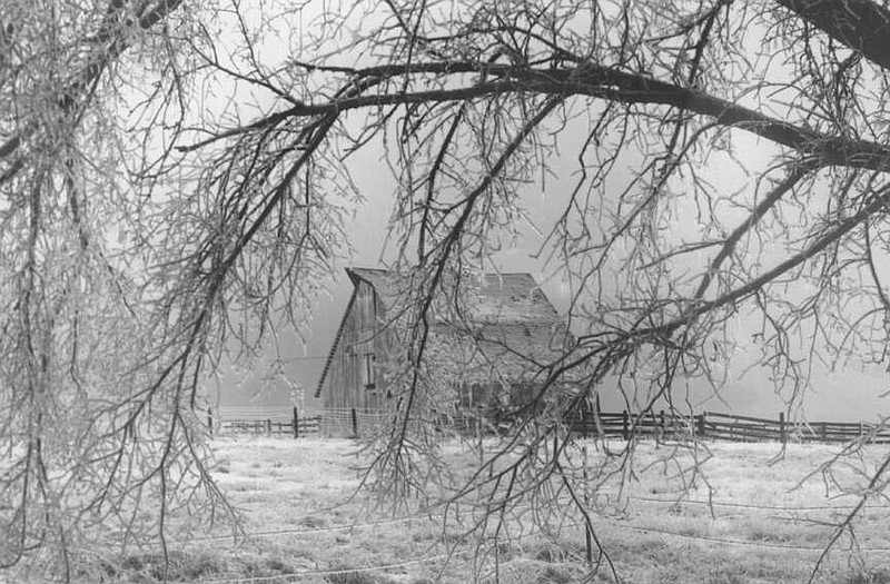 Photo courtesy the Kingdom of Callaway Historical Society
Bartley Lane scene during the 1948 ice storm.