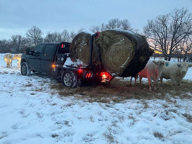 Submitted photo/Samuel Townsend
Townsend helps residents set out hay bales to feed their cattle.