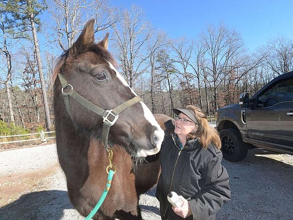 PHOTO- Mane attraction | Northwest Arkansas Democrat-Gazette - Vimarsana News