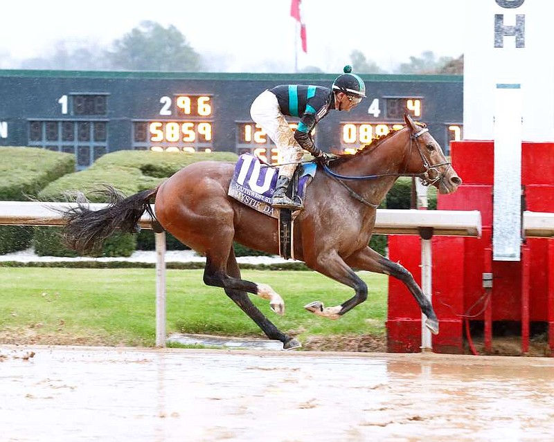 Mystik Dan, with jockey Brian Hernandez Jr. aboard, takes the upset victory in Saturday's Grade 3 $800,000 Southwest Stakes at Oaklawn Park. (Submitted photo courtesy of Coady Photography)