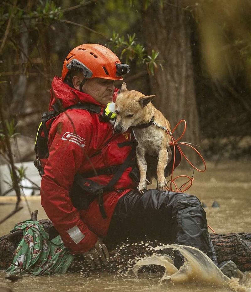 Firefighters rescue a dog from a homeless encampment that became surrounded by floodwater in the Santa Ana River during a rainstorm, Monday, Feb. 5, 2024, in San Bernardino, Calif. (AP Photo/Ethan Swope)