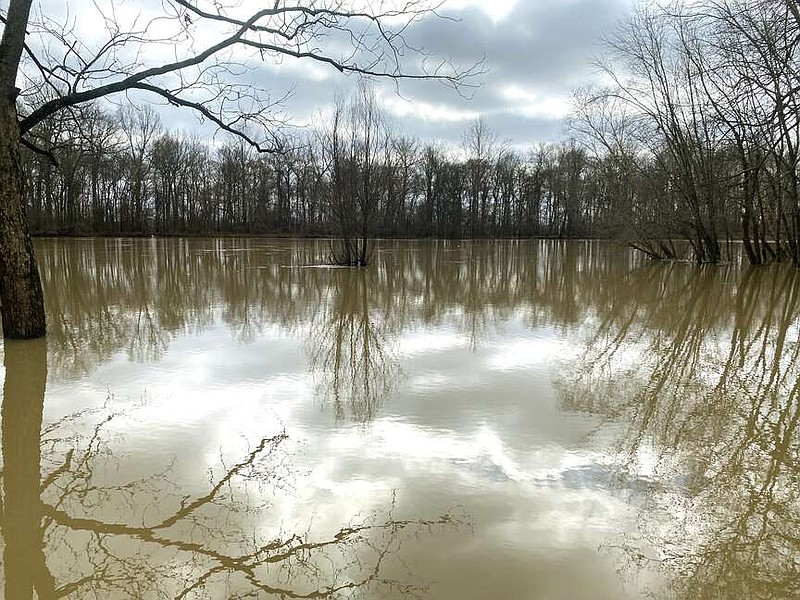 Davidsonville Historic State Park is situated on the banks of the Black River. (The Sentinel-Record/Corbet Deary)