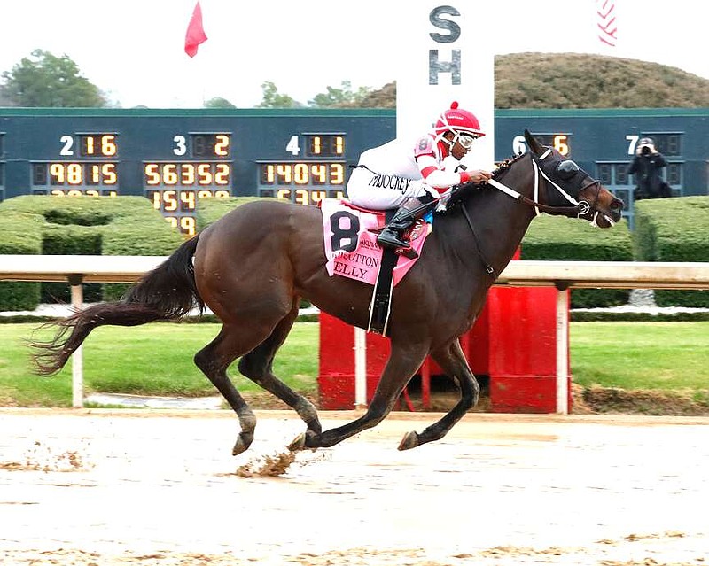 Skelly wins the King Cotton Stakes Saturday at Oaklawn Racing Casino Resort. (Submitted photo courtesy of Coady Media)
