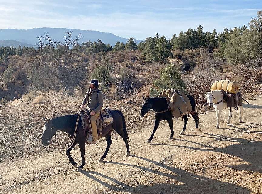 Traveling 7,200 miles by horse raises awareness of mustang plight | The ...